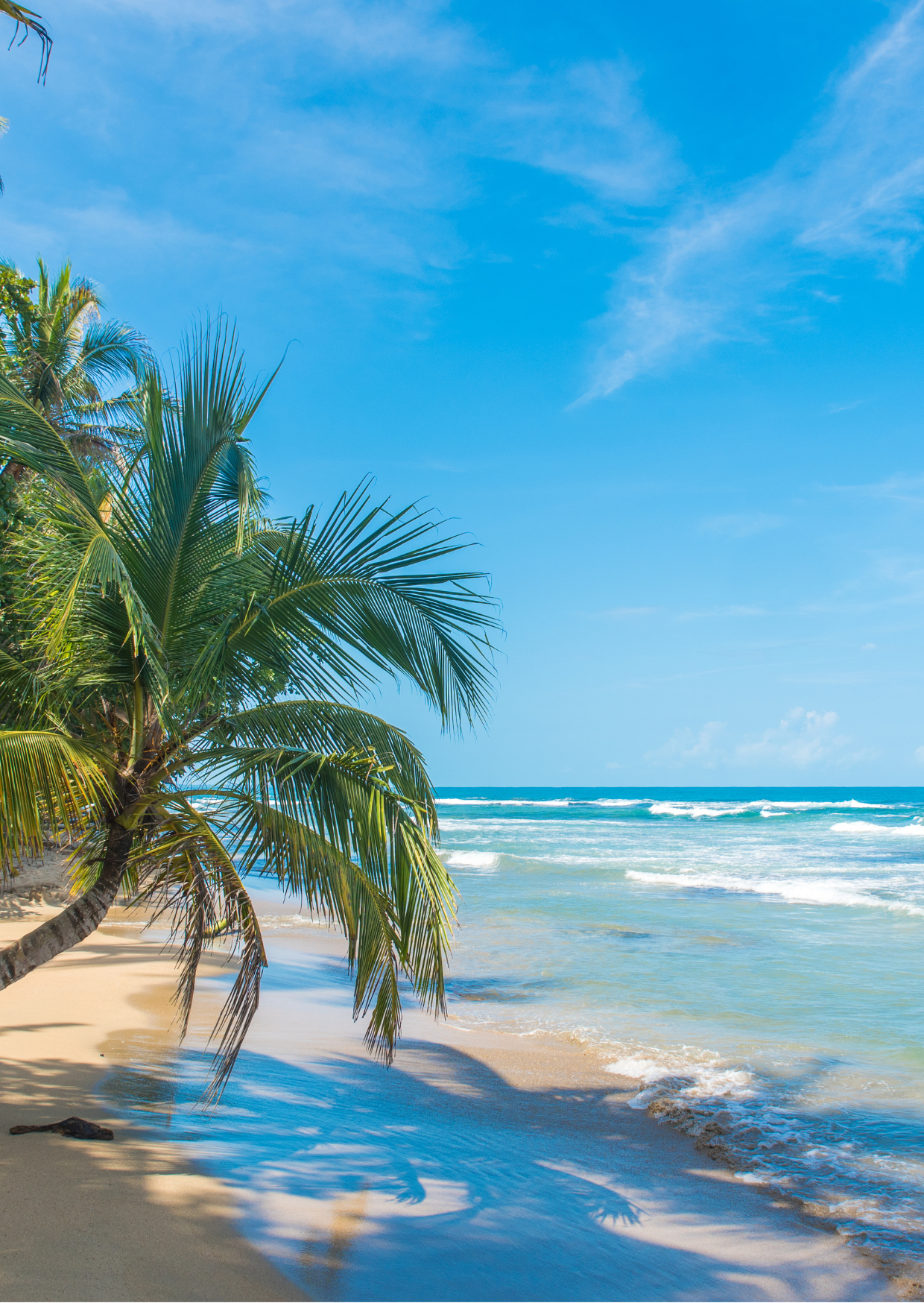 Costa Rica Retreat